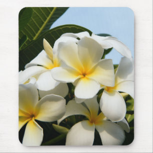 Alfombrilla De Ratón Dicha del Frangipani