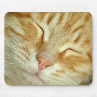 Alfombrilla De Ratón Dicha pura