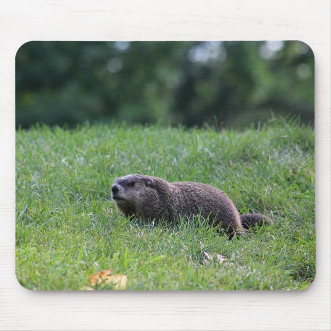 Alfombrilla De Ratón Digger del agujero del diablo (Frente)