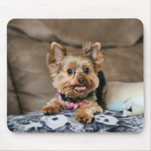 Alfombrilla De Ratón Dínamo pequeño