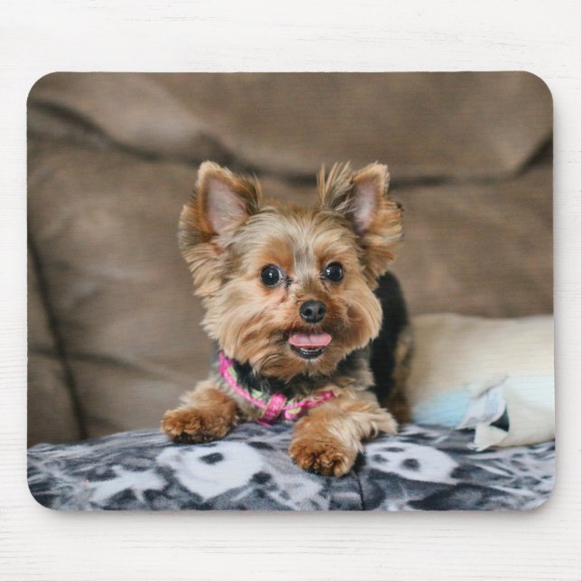 Alfombrilla De Ratón Dínamo pequeño