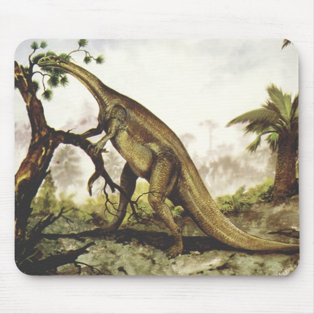 Alfombrilla De Ratón Dinosaurios de época, Plateosaurus Grazing on Tree (Frente)