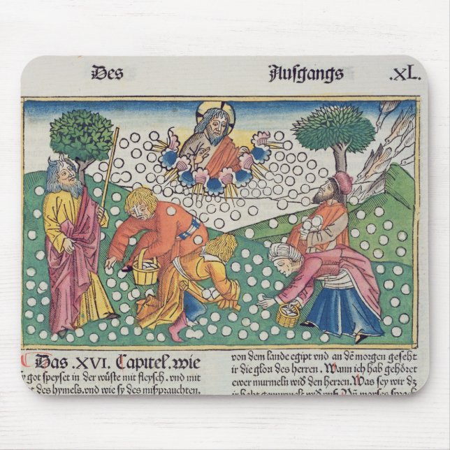 Alfombrilla De Ratón Dios 13-22 del éxodo 16 proporciona las codornices (Frente)