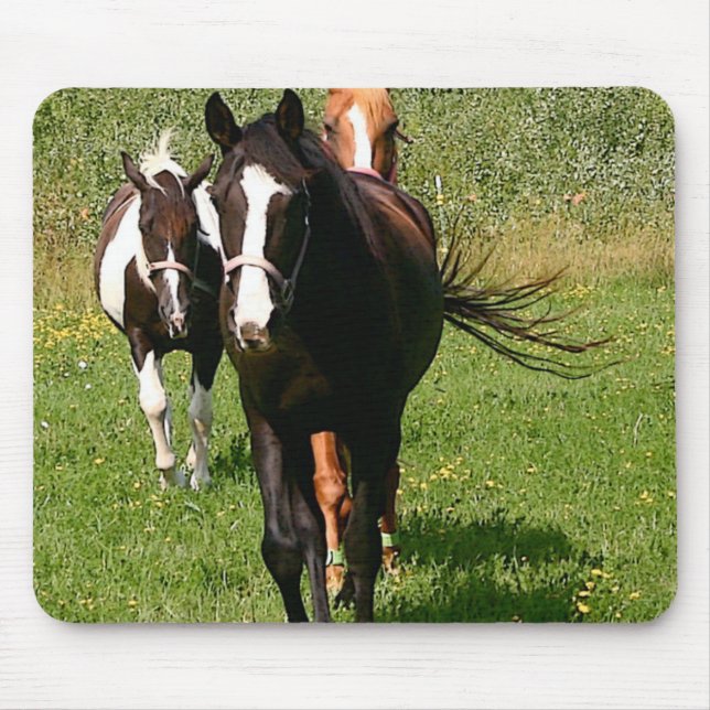 Alfombrilla De Ratón Dirección a casa del cojín de ratón (Frente)