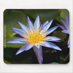 Alfombrilla De Ratón Diseño Botánico Floral de Nenúfar Tropical