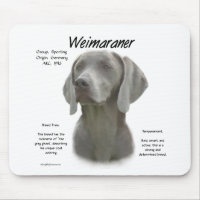Diseño de la historia de Weimaraner
