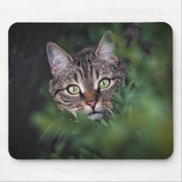 Alfombrilla De Ratón Diseño - Gato curioso