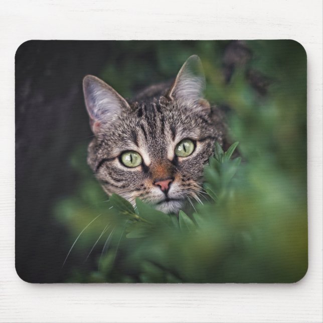 Alfombrilla De Ratón Diseño - Gato curioso (Frente)
