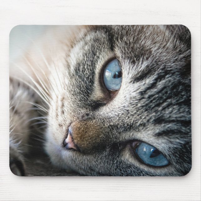 Alfombrilla De Ratón Diseño - Gato lindo (Frente)