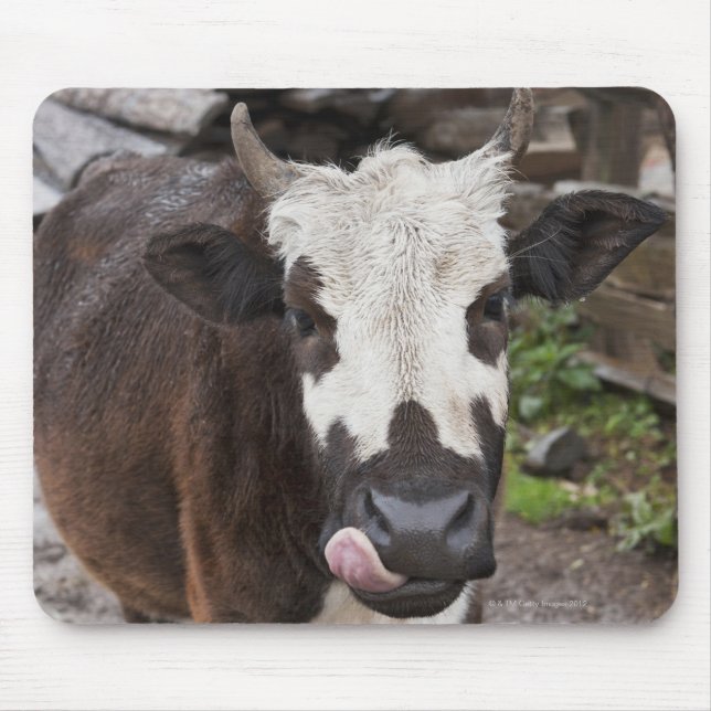 Alfombrilla De Ratón distrito de punakha bhutan (Frente)