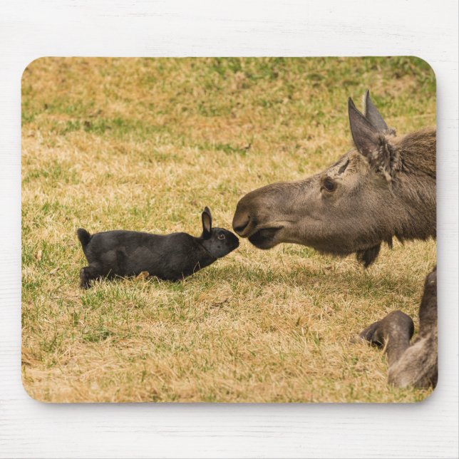 Alfombrilla De Ratón Diversidad (Frente)