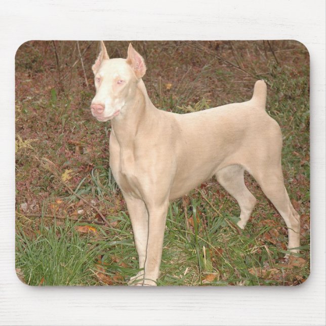 Alfombrilla De Ratón doberman blanco (Frente)