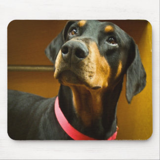Alfombrilla De Ratón Doberman Mousepad