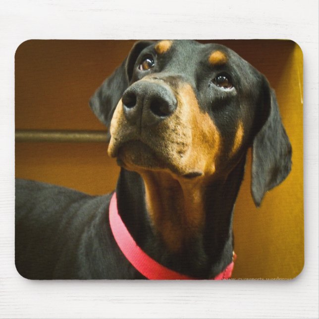Alfombrilla De Ratón Doberman Mousepad (Frente)