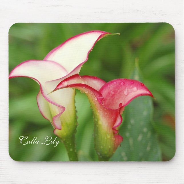 Alfombrilla De Ratón Doble Calla Lily Mousepad (Frente)