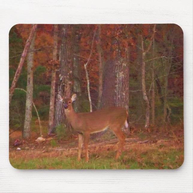 Alfombrilla De Ratón Doe a Deer in Lake Arrowhead (Frente)