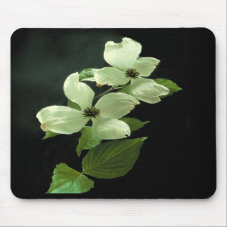 Alfombrilla De Ratón Dogwood Blossum Mousepad