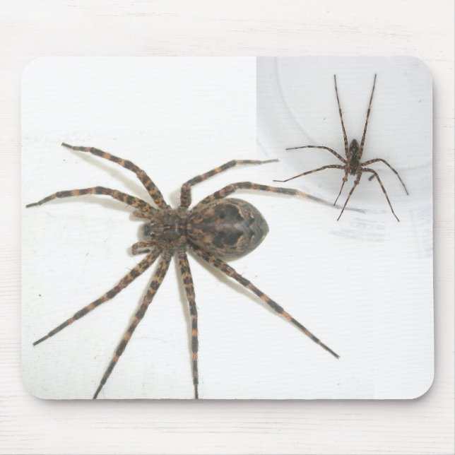 Alfombrilla De Ratón Dolomedes Mousepad femenino y masculino (Frente)