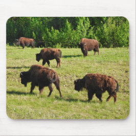 Alfombrilla De Ratón Donde vagan los bisontes