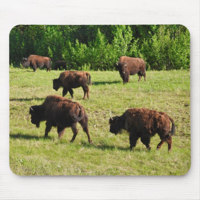 Alfombrilla De Ratón Donde vagan los bisontes (Frente)