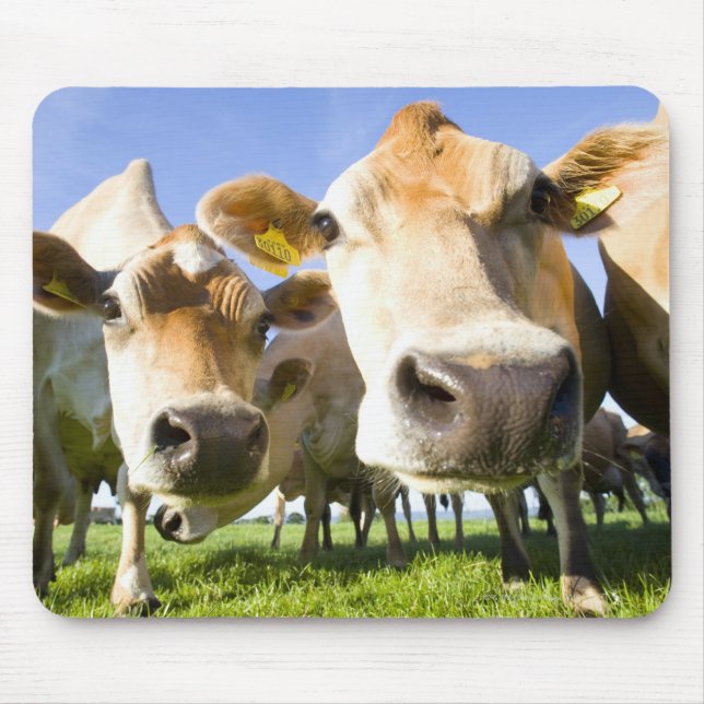 Alfombrilla De Ratón Dorset, Reino Unido (Frente)