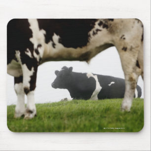 Alfombrilla De Ratón dos