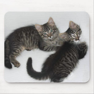 Alfombrilla De Ratón Dos almohadillas para el ratón gatitos oscuro