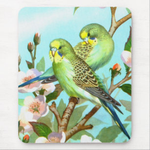 Alfombrilla De Ratón Dos budgerigars