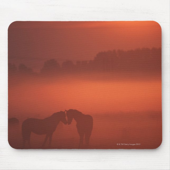 Alfombrilla De Ratón Dos caballos al atardecer (Frente)