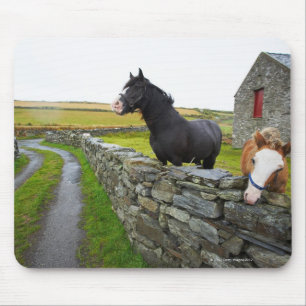 Alfombrilla De Ratón Dos caballos en granja en Inglaterra rural