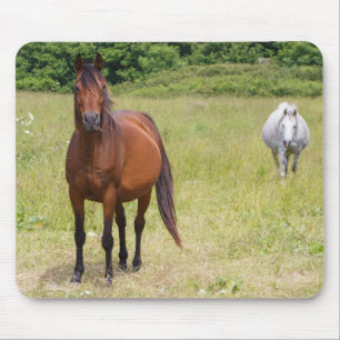 Alfombrilla De Ratón Dos caballos en un campo
