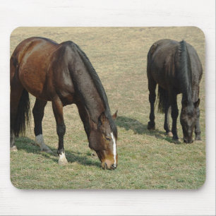 Alfombrilla De Ratón Dos caballos - Mousepad
