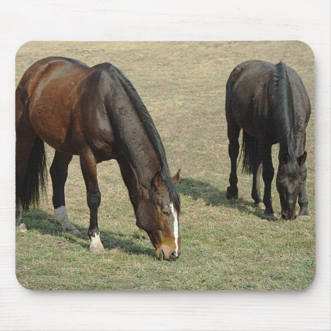 Alfombrilla De Ratón Dos caballos - Mousepad (Frente)