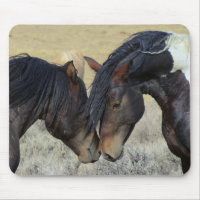 Dos Caballos Salvajes Marrones Desnudos