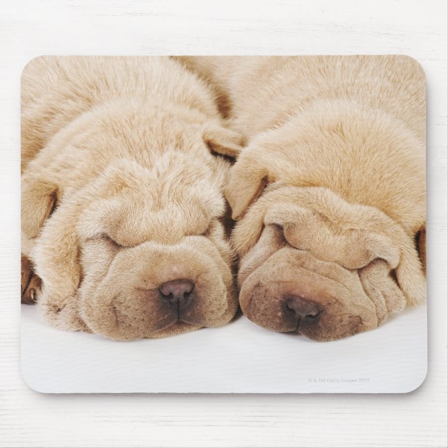Alfombrilla De Ratón Dos cachorros de Shar Pei durmiendo (Frente)