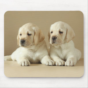 Alfombrilla De Ratón Dos Cachorros Labrador Dorados