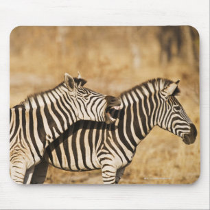 Alfombrilla De Ratón Dos cebras que se colocan en hierba