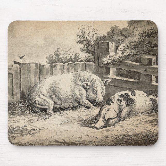 Alfombrilla De Ratón Dos cerdos yacen en la paja en una pluma exterior (Frente)