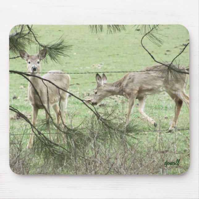 Alfombrilla De Ratón Dos ciervos y pinos (Frente)