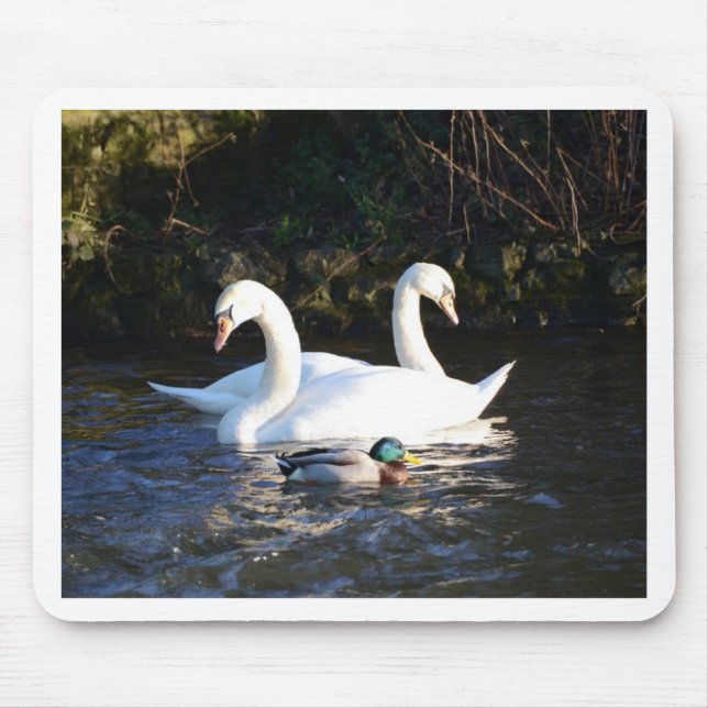 Alfombrilla De Ratón Dos cisnes y un pato (Frente)