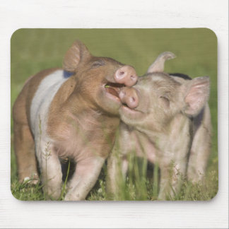 Alfombrilla De Ratón Dos cochinillos felices