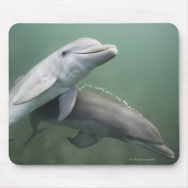 Alfombrilla De Ratón Dos delfines subacuáticos (Frente)