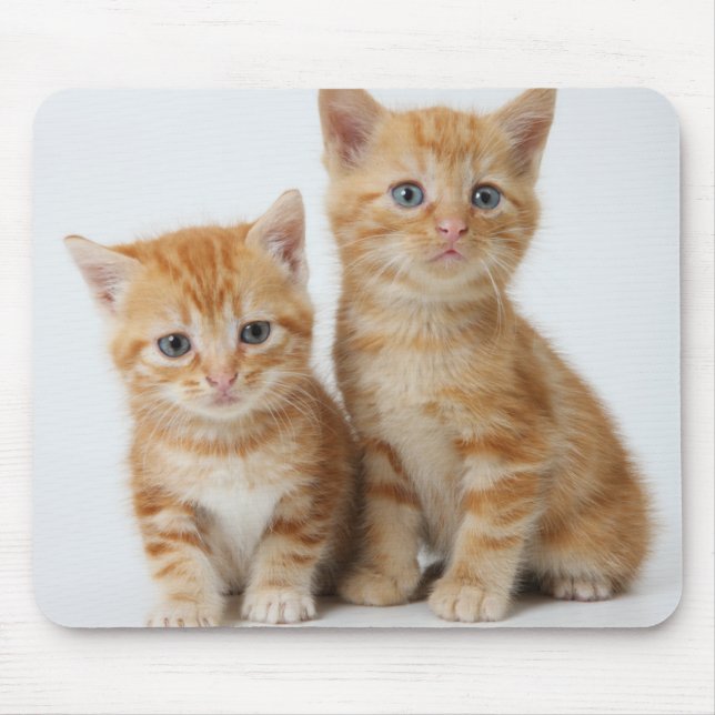 Alfombrilla De Ratón Dos gatitos adorables (Frente)