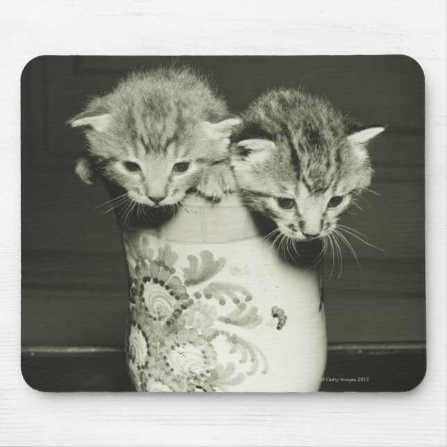 Alfombrilla De Ratón Dos gatitos escondidos en jarrón, (B&W) (Frente)