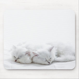 Alfombrilla De Ratón Dos gatitos persas