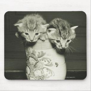 Alfombrilla De Ratón Dos gatitos que ocultan en florero, (B&W)