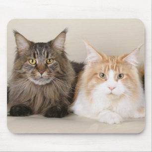 Alfombrilla De Ratón Dos gatos de café de Maine