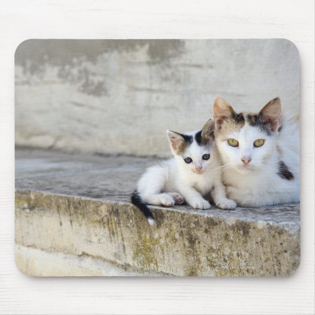 Alfombrilla De Ratón Dos gatos en escalones de piedra (Frente)