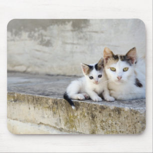 Alfombrilla De Ratón Dos gatos en los pasos de piedra