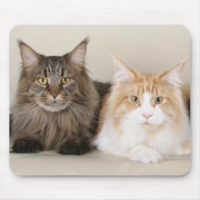 Alfombrilla De Ratón Dos grandes gatos (Frente)